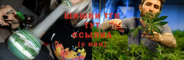 мдпв Осташков