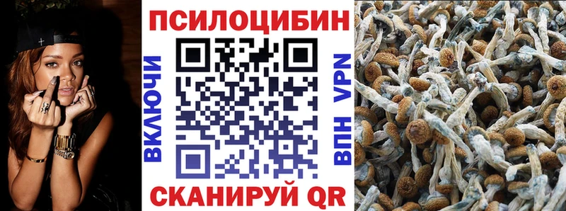 Галлюциногенные грибы Psilocybe Красновишерск