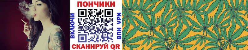 купить   Красновишерск  Марихуана ГИДРОПОН 